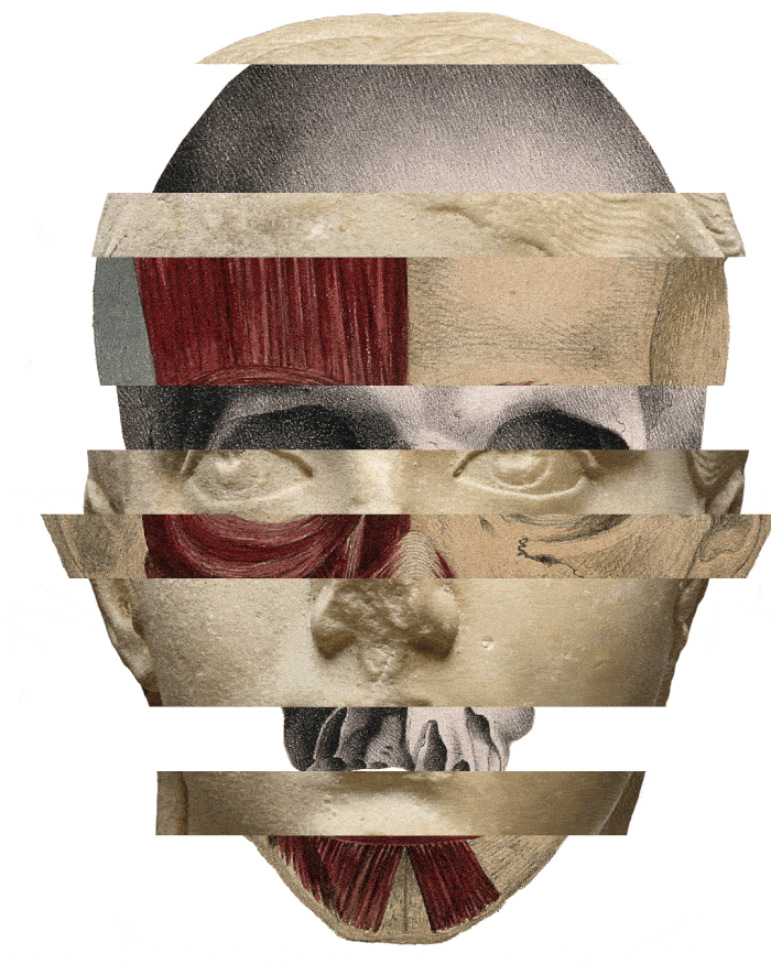 Animated collage portrait by James Dowland, assembled from shifting fragments of historical faces and anatomical illustrations.
